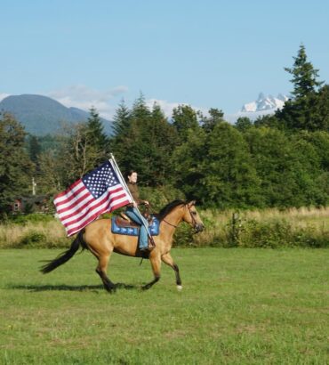 American Quarter Horse